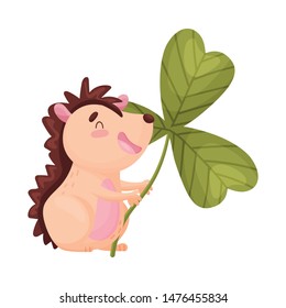 Cartoon hedgehog with clover. Vector illustration on white background.