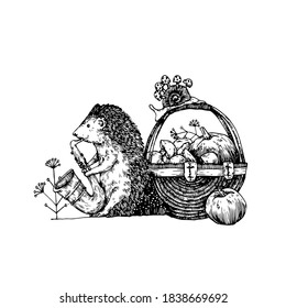 Cartoon-Igel, Vektorgrafik handgezeichnet. Linienzeichnung eines süßen Tieres. Buchillustration.