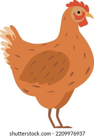 Cartoon hen bird. Farm animal. Chicken icon