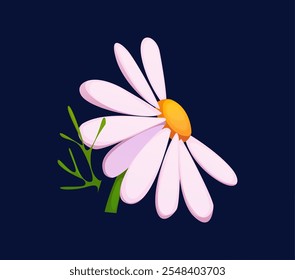 Cartoon herbal chamomile flower with white petals and green stem. Isolated vector plant, garden blossom or herb, wildflower or bloom. Natural product for herbal tea, botanical element and remedy