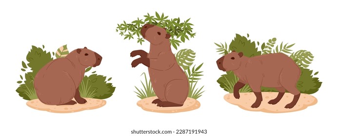 Cartoon herbivore capybara. Wild mammals in natural habitat. Semi-aquatic animals flat vector illustration set