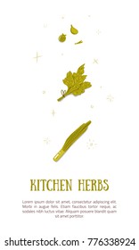 Cartoon herbs poster design. Kitchen botanical illustration in cartoon design.