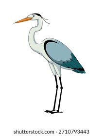 Diseño de Vector de pájaro de garza de dibujos animados, Ilustración de personaje de pájaro de garza, Hermoso, Garza, Arte vectorial
