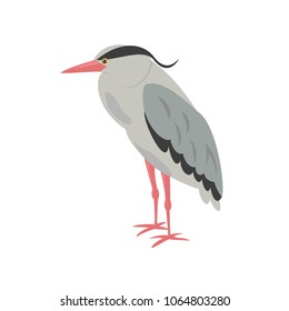 Cartoon heron icon on white background. Vector illustration.