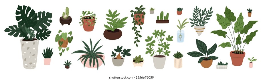 Cartoon home plants. Different types houseplants in flowerpots. Interior flowers in pots. Indoor palm trees and ficuses. Decorative greenery. Succulents and cactuses