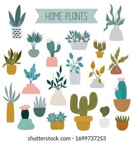 Cartoon home plants and succulents. Design for poster, card, bag and t-shirt, cover. Baby style.