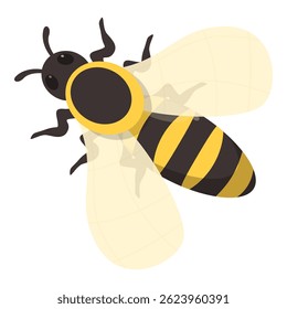 Cartoon honey bee is flying with its wings spread