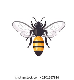 cartoon honey bee vector illustration 