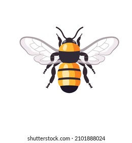 cartoon honey bee vector illustration