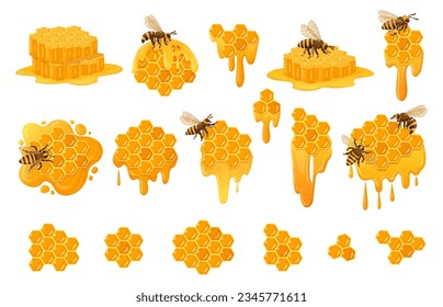 Cartoon honeycomb set. Sweet honey drops with honey bees, beekeeping, honeycraft and apiary flat vector symbols collection. Honeycomb with melting honey