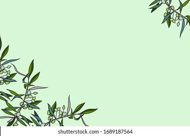Cartoon horizontal frame postcard Branch of olive leaves with fruits. Doodle style hand-drawn black light isolated on background, outline outline plant vector illustration. Copy space