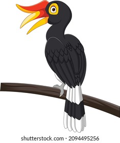 Cartoon hornbill bird isolated on white background