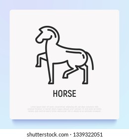 Cartoon horse thin line icon. Modern vector illustration for Chinese horoscope.