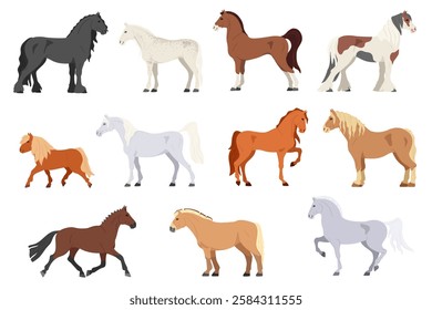 Cartoon horses. Different horse types, breeds and colors. Prancing pony, stallion run gallop and standing steed poses. Horse show isolated vector set.