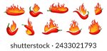 Cartoon hot chilli peppers with fire flames. Spicy burning mexican red vegetable for salsa. Cooking ingredients. Vector emblem for spicy food and sauces