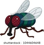 Cartoon house fly isolated on white background