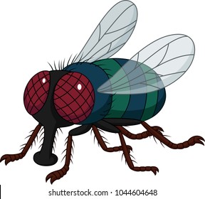 Cartoon House Fly Isolated On White Background