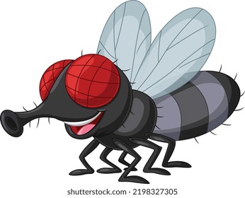 Cartoon house fly isolated on white background