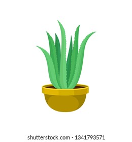 Cartoon houseplant. House plant on white background.