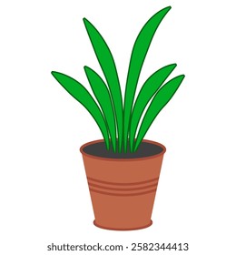 Cartoon Houseplant in Terracotta Pot houseplant with long green leaves