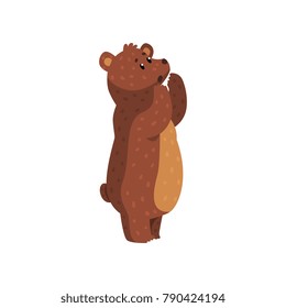 Cartoon howling grizzly bear. Wild animal with brown fur, small rounded ears and short tail. Forest creature. Flat vector for childrens book, sticker or poster