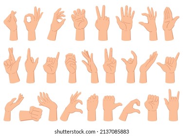 Cartoon human hand expression gestures, counting fingers and thumb up. Hand gestures, human arm palm gesture communication vector illustration set. Human hand gestures different