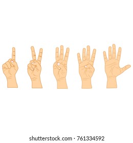 Cartoon Human Hand Showing Numbers Set Row Flat Design Style Gesture for Education or Expression. Vector illustration