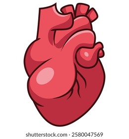 Cartoon human heart isolated on white background