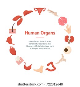 Cartoon Human Internal Organs Banner Card Circle Medicine Anatomy Flat Style Design for Web. Vector illustration