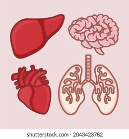 cartoon human internal organs brain, heart, liver, lungs. vector illustration for children's books or educational media