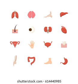 Cartoon Human Internal Organs Icons Set Medicine Anatomy Flat Style Design for Web. Vector illustration