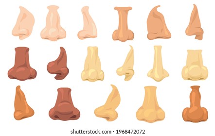 Cartoon human noses vector illustrations set. Different types of male nasal shapes by race isolated on white background. Anatomy, rhinoplasty, surgery concept