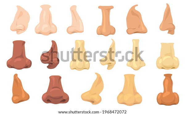 Cartoon Human Noses Vector Illustrations Set Stock Vector (Royalty Free ...