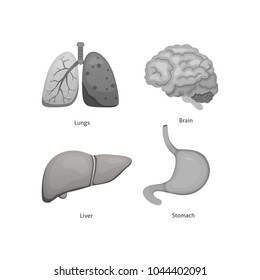 Cartoon human organs set. Anatomy of body.