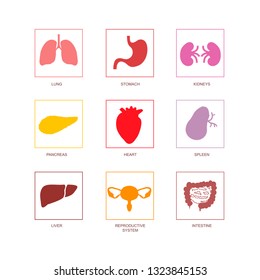Cartoon human organs set with liver pancreas heart female reproductive system kidneys brain lungs stomach intestine.  Isolated vector illustration