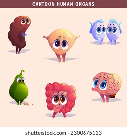 Cartoon human organs set with liver pancreas heart female reproductive system kidneys brain lungs stomach intestine isolated vector illustration