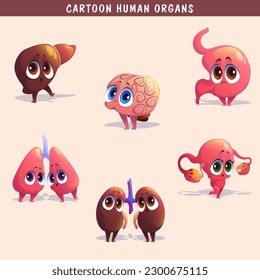 Cartoon human organs set with liver pancreas heart female reproductive system kidneys brain lungs stomach intestine isolated vector illustration