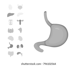 Cartoon human organs vector set . Anatomy of body. Reproductive system, heart, lungs, brain illustrations