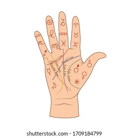 Cartoon human palmistry map on open hand vector graphic illustration. Colorful person palm with line, symbol and lettering inscription isolated on white background. Arm fortune telling