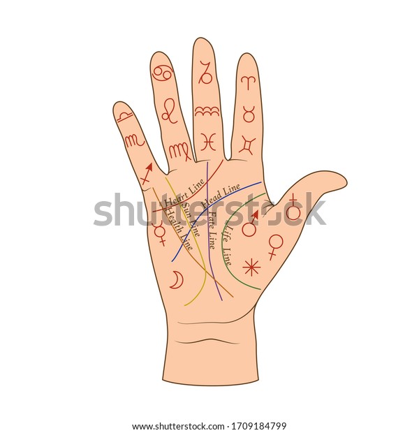 Cartoon Human Palmistry Map On Open Stock Vector (Royalty Free) 1709184799