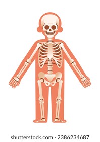 Cartoon menschliches Skelett frontal Ansicht. Einfache flache Vektorgrafik für Infografiken