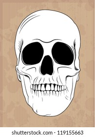 Cartoon Human skull