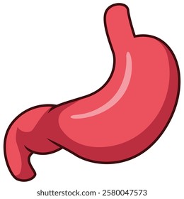 Cartoon human stomach isolated on white background