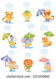 Cartoon humanized animals walk in the rain. Vector illustration.