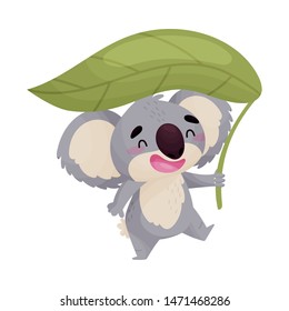 Cartoon humanized koala with a large green leaf. Vector illustration on white background.