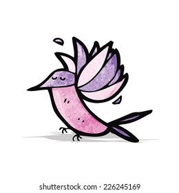 colibrí