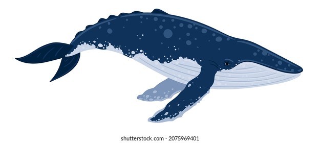 Cartoon humpback whale. Underwater world, Marine life. Vector illustration of a whale. 