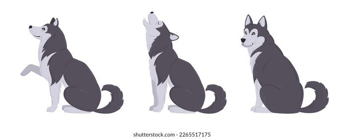 Cartoon husky. Domestic husky puppy, cute playing, sitting and howling huskies flat vector illustration set