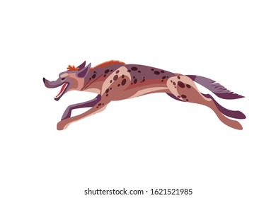 A cartoon Hyena on a hunt jump and runs across the plain. Flat vector illustration on a white isolated background.