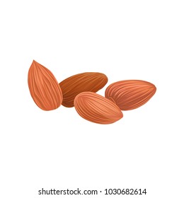 Cartoon icon of dried almond nuts in brown shell. Healthy food. Tasty vegetarian snack. Organic product. Culinary ingredient. Detailed vector design